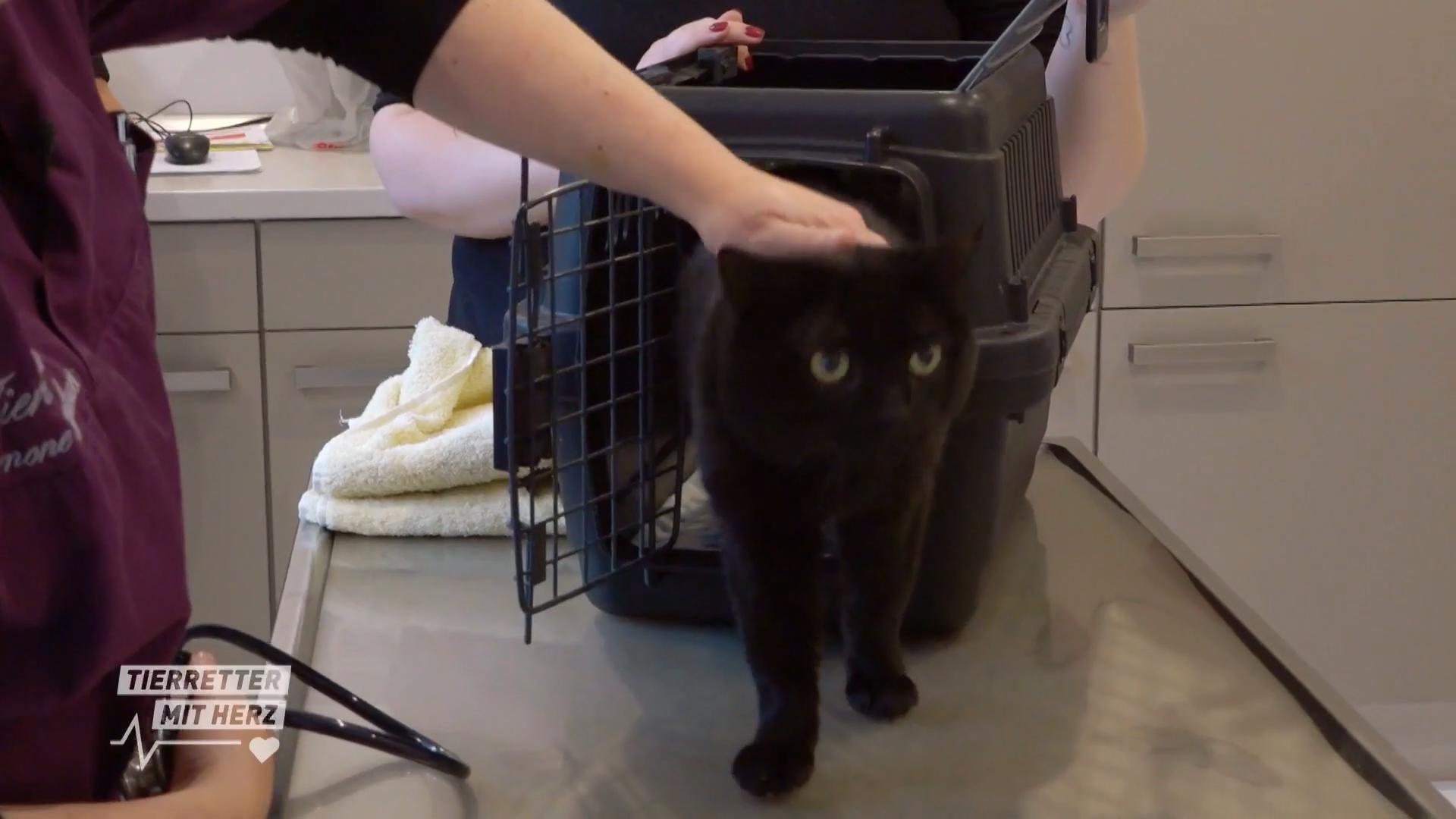 Fremdkörper gefunden