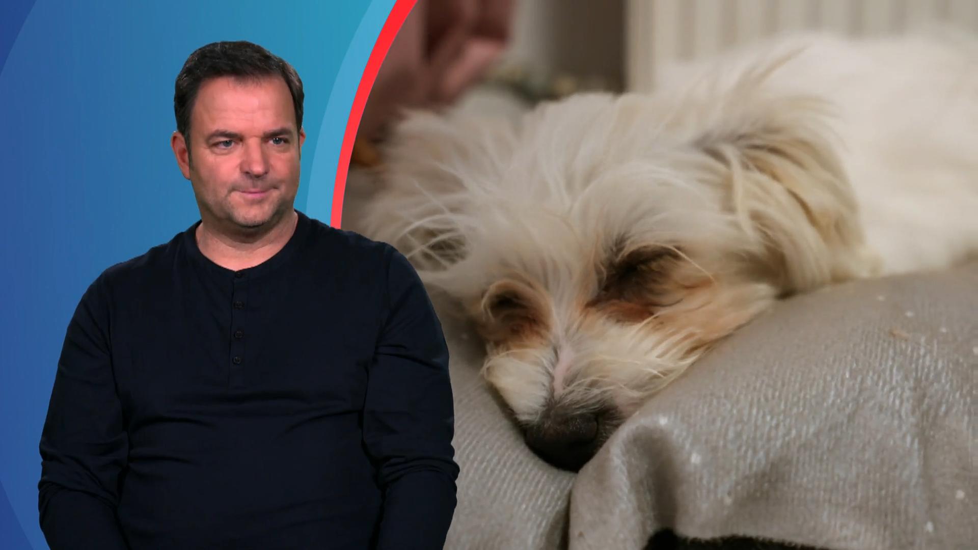 Bei den Tierschutz-Mischlingen Teddy und Ella läuft es rund