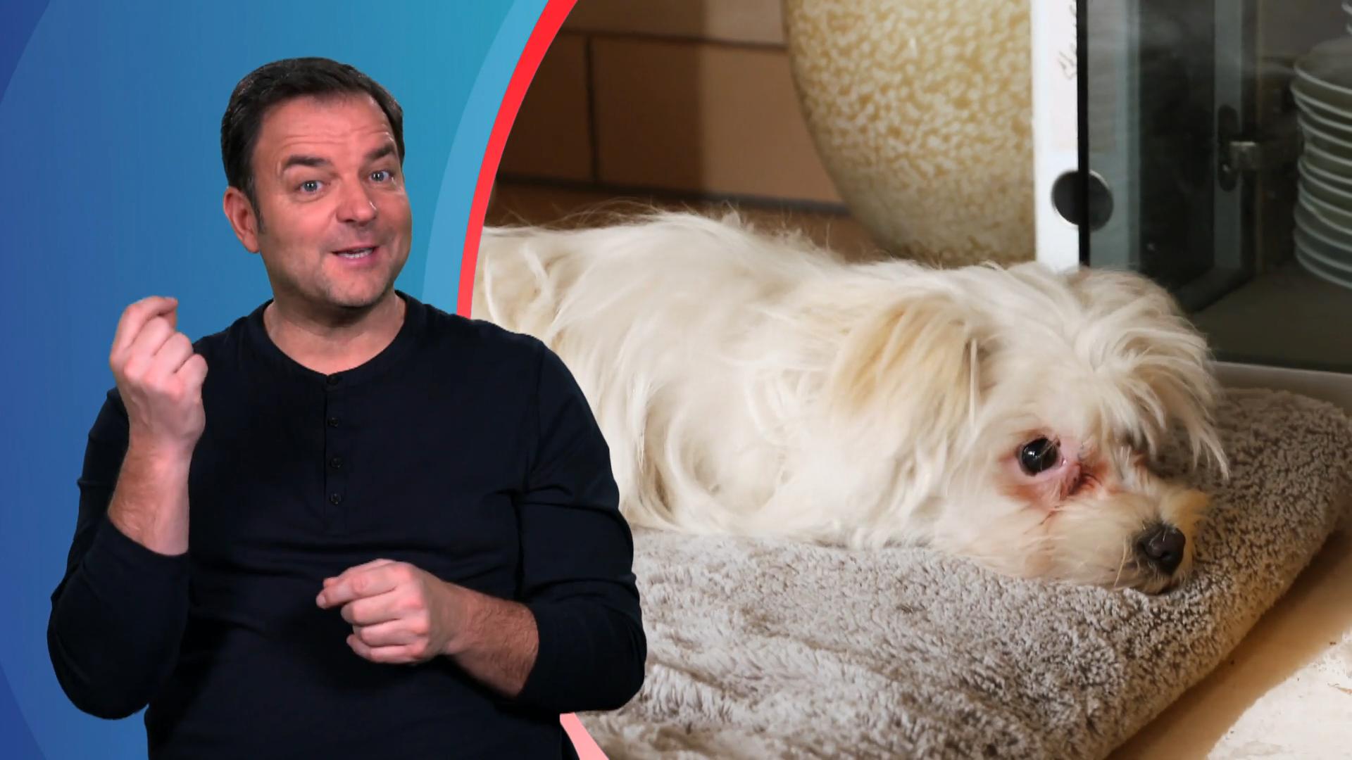 Viel Schlaf hatte hier niemand