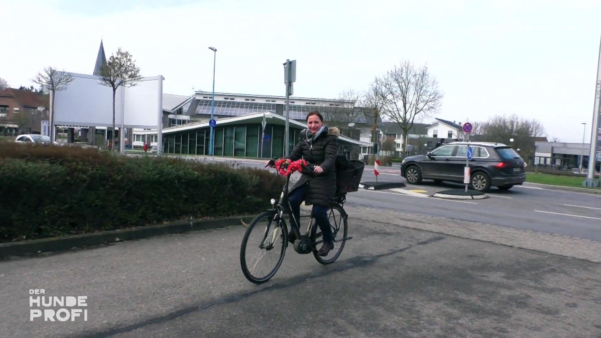 Hund Cosmo kann Fahrradfahren nicht leiden