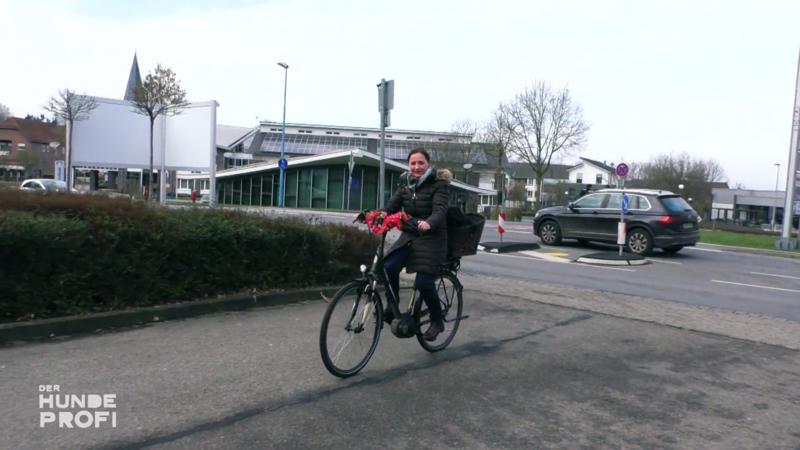 Hund Cosmo kann Fahrradfahren nicht leiden