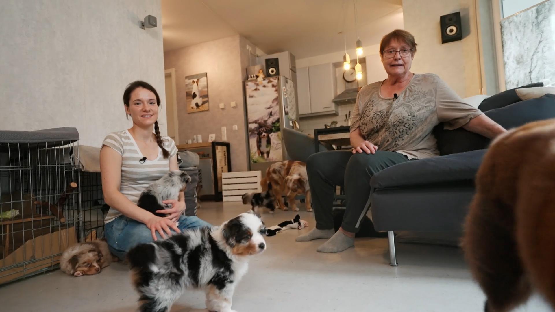 Wenn Welpen und Kaninchen zusammenleben