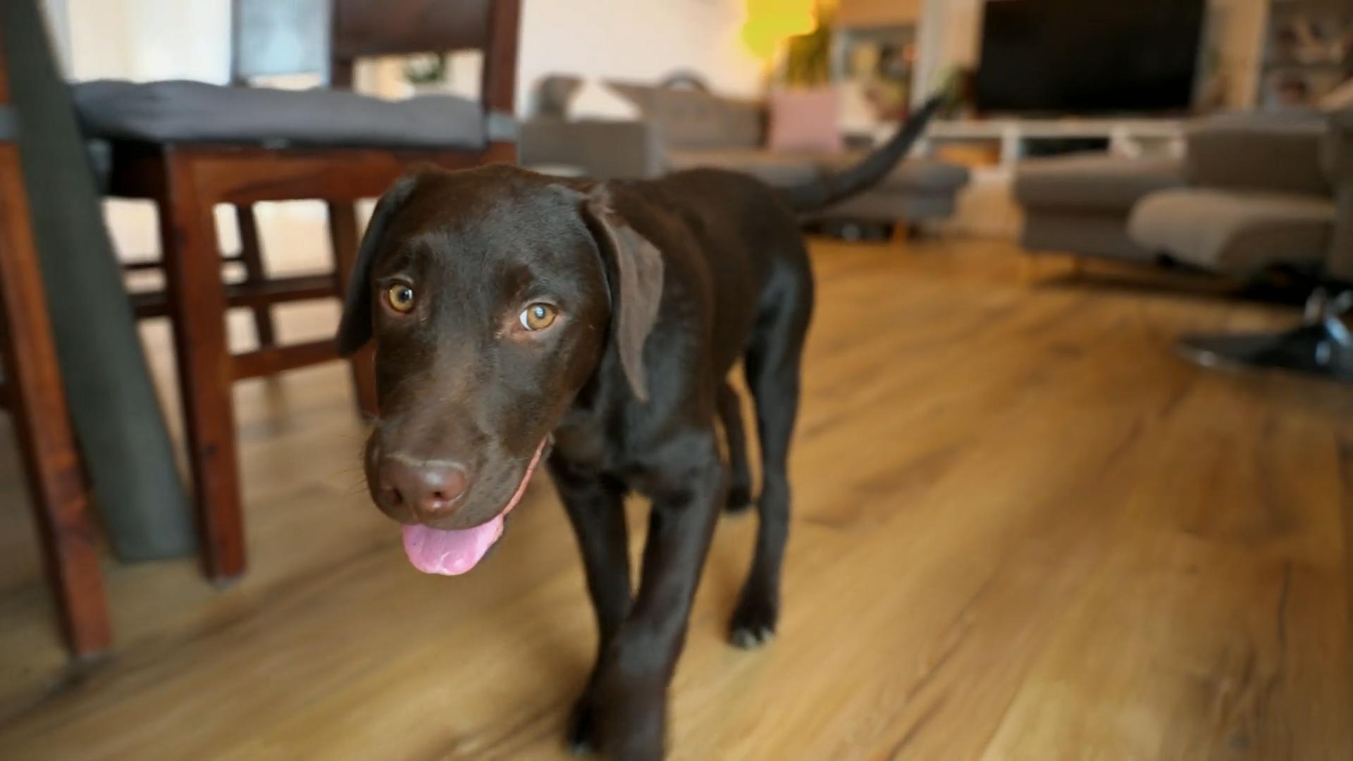 Barney muss unbedingt zur Ruhe kommen