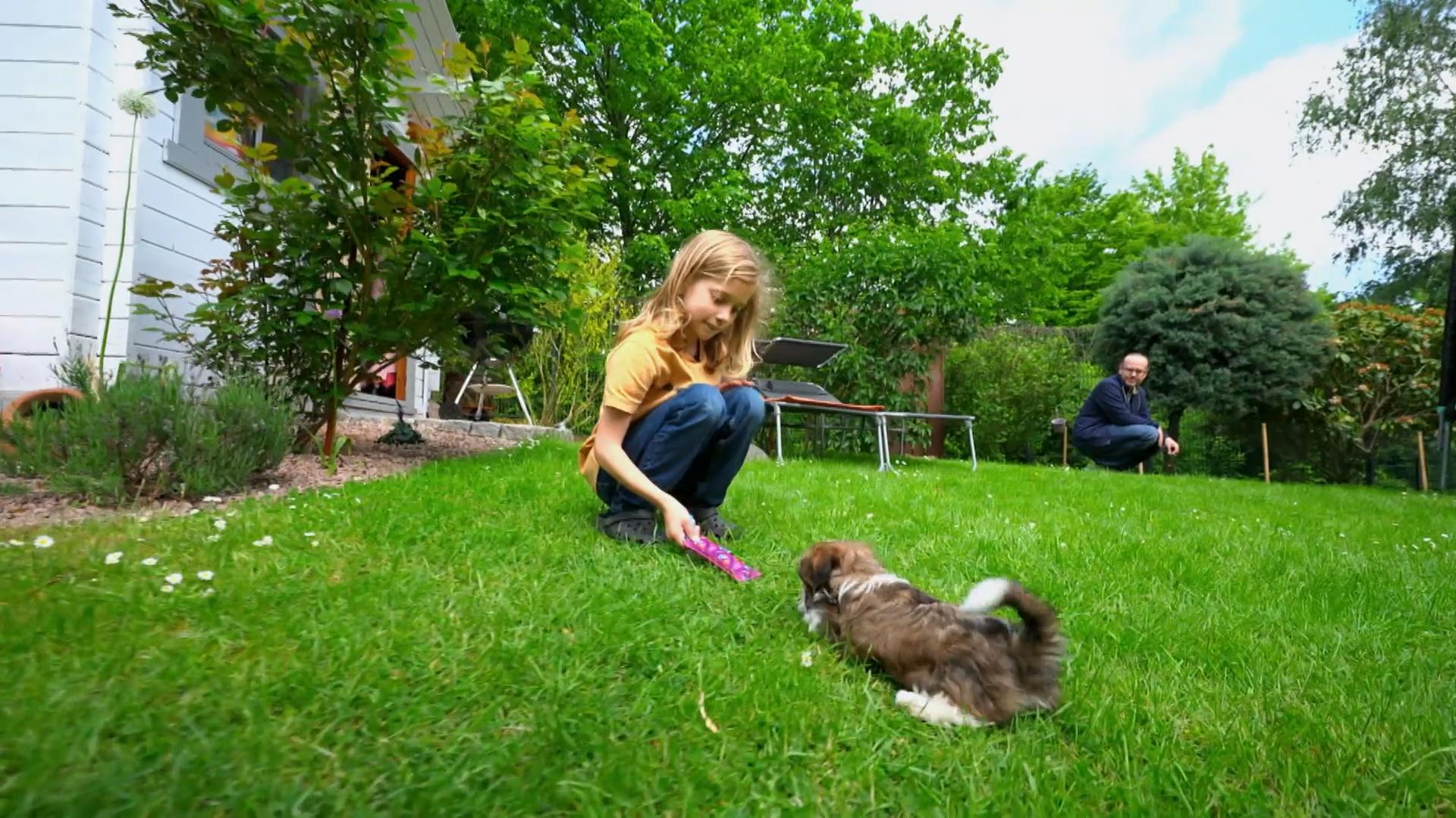 Fiete sorgt für Frieden im Haus