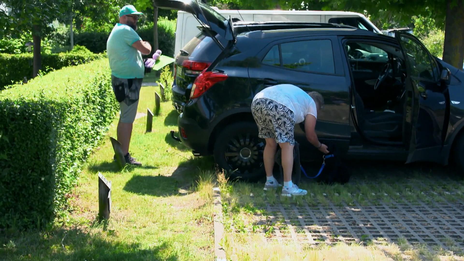 Dimi hat seinen eigenen Kopf