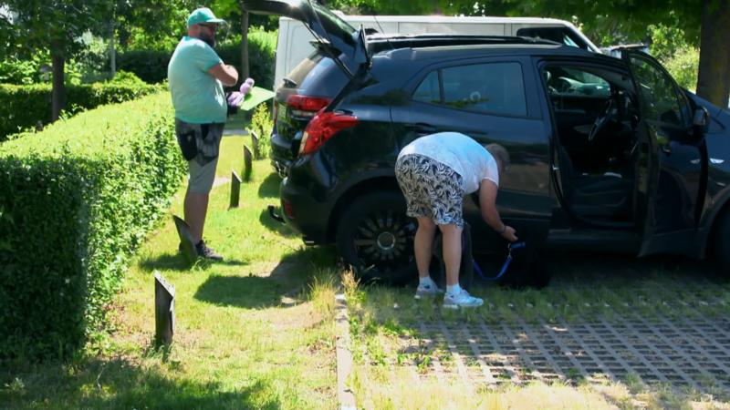 Dimi hat seinen eigenen Kopf