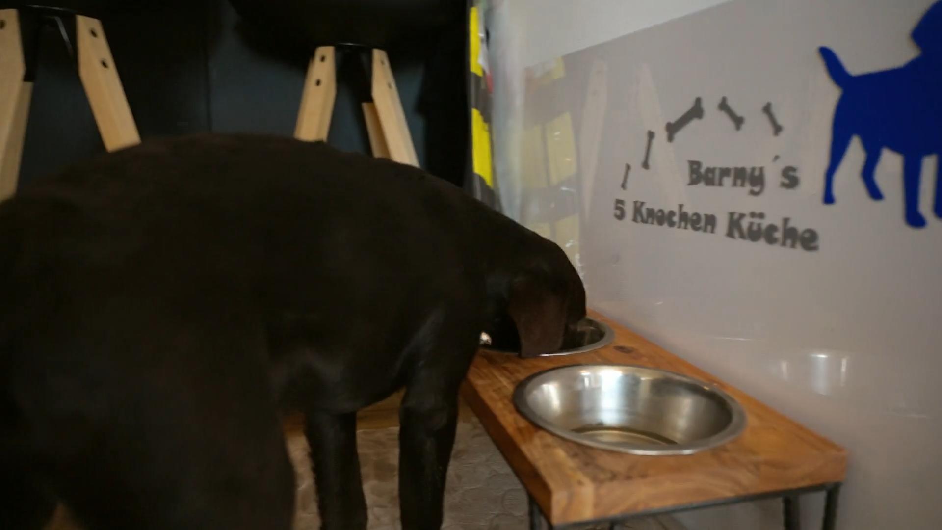 Barney, der Staubsauger