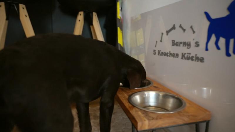 Barney, der Staubsauger