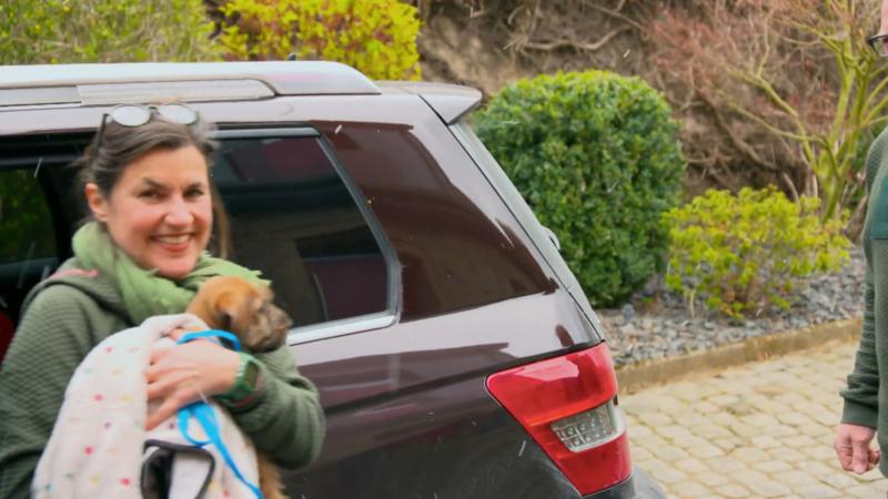 Quinn kommt in seinem neuen Zuhause an