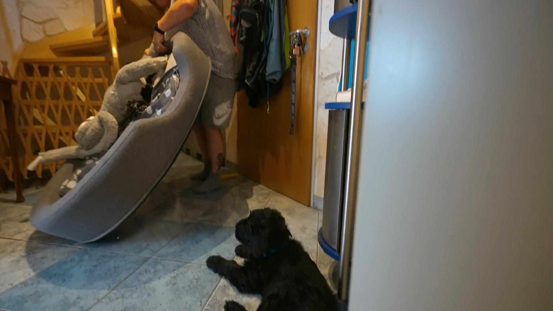 Dimi schläft den ganzen Tag