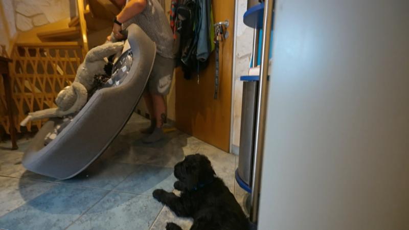 Dimi schläft den ganzen Tag