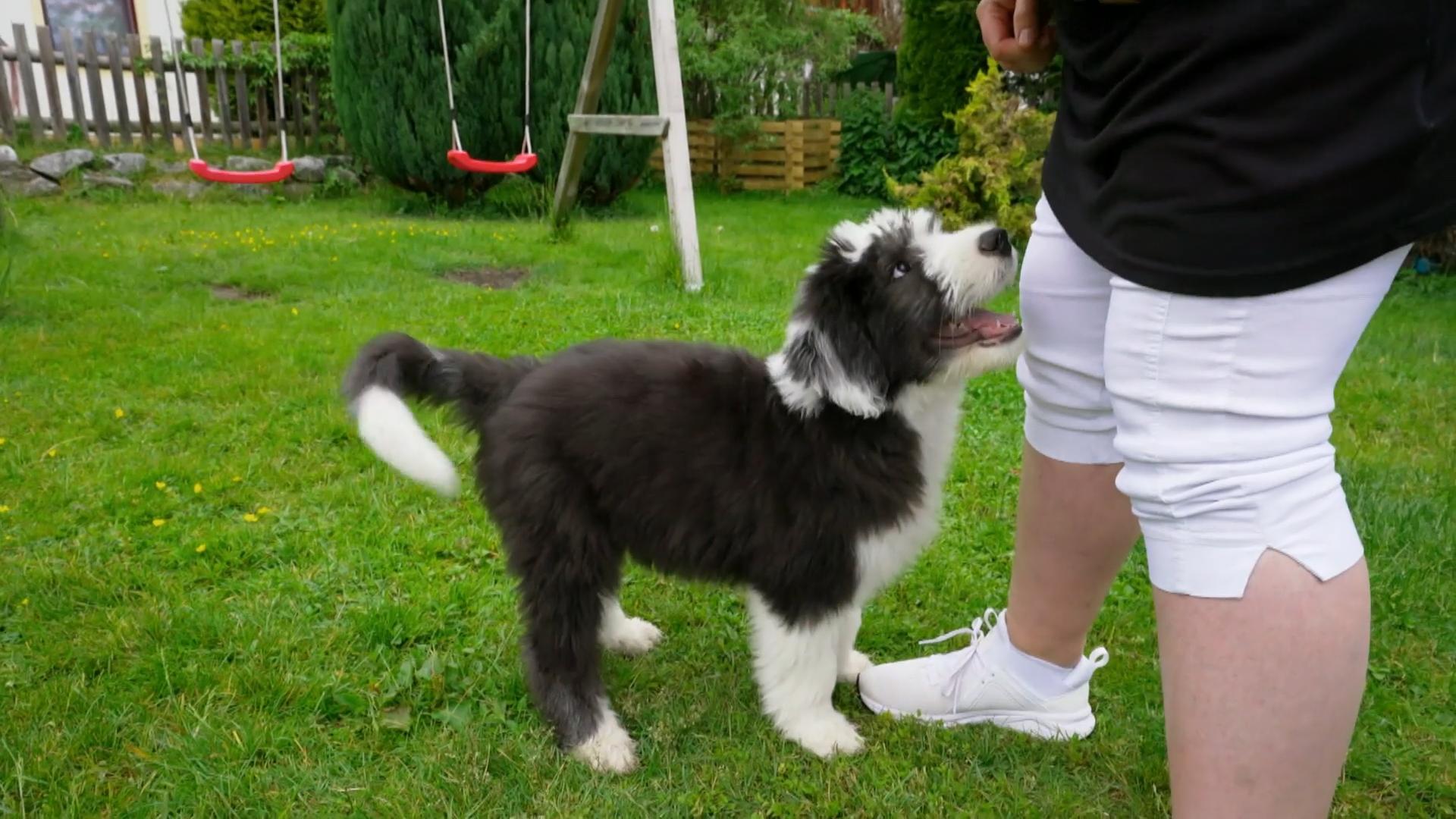Der Schnauzgriff funktioniert nicht so ganz