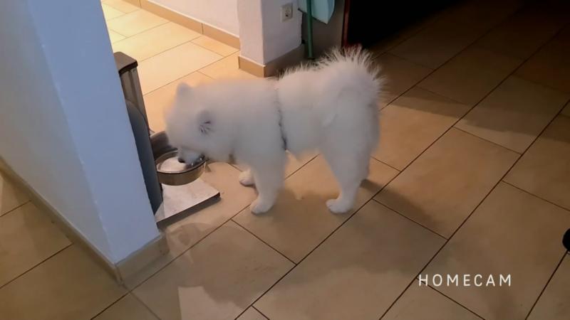 Kayuka ist Zuhause angekommen