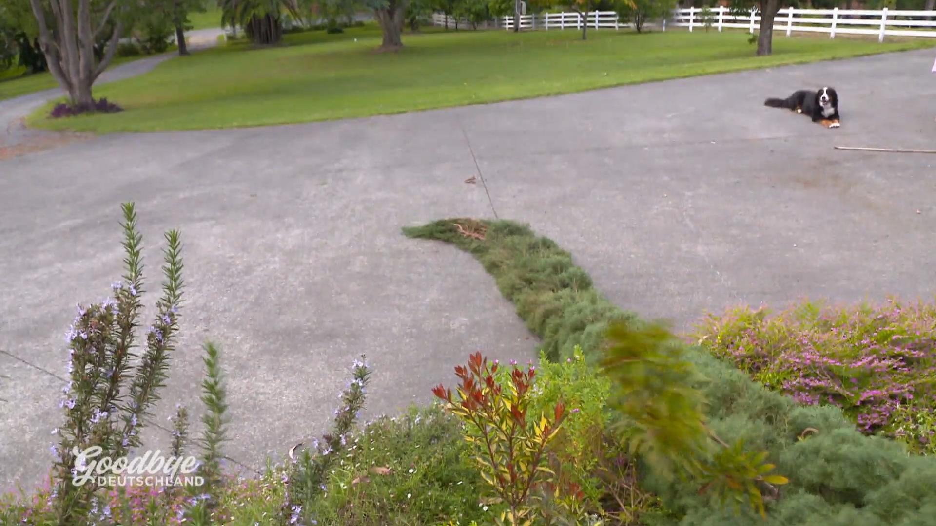 Eine gefährliche Aufgabe für Pete