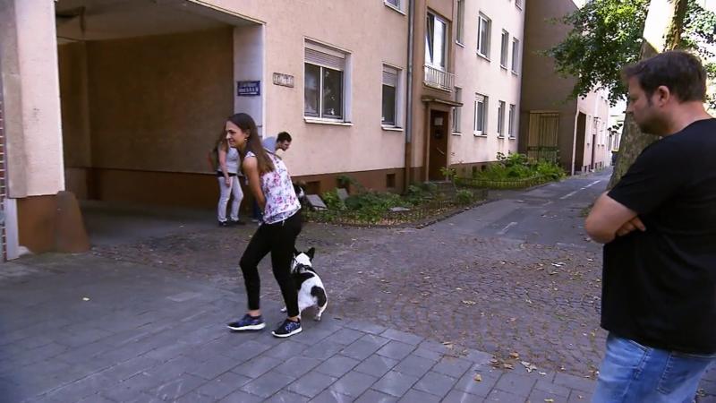 Django macht einen auf "dicke Hose"