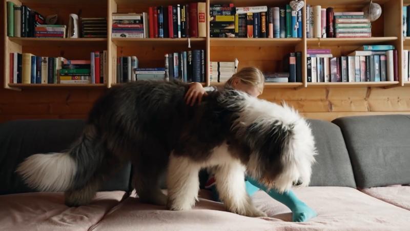 Das plüschige Riesenbaby Balu