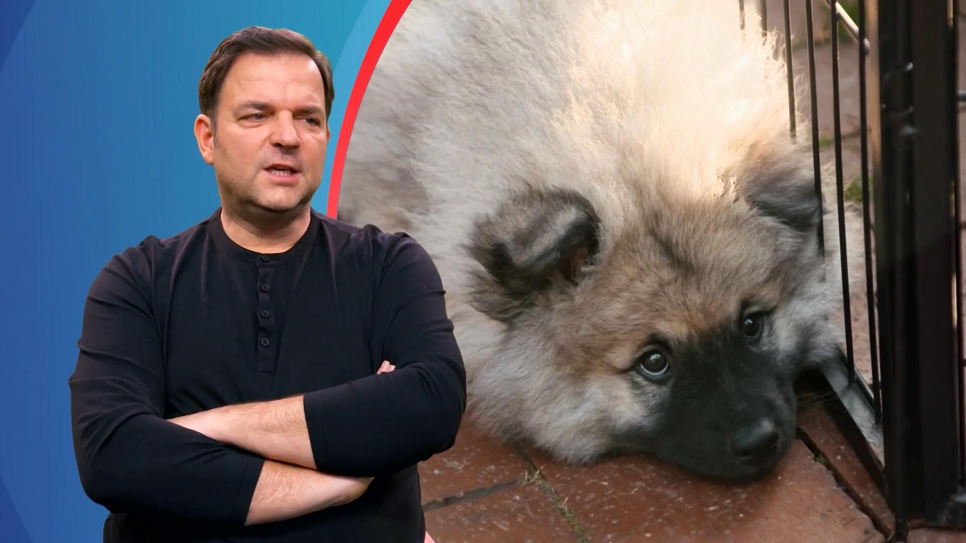 Eine Familie in Espenau wird mit einem Welpen erweitert