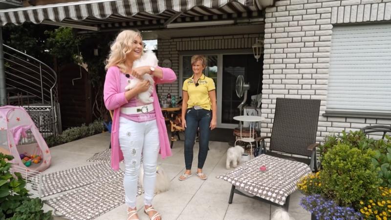 Ein musikalisches Pärchen mit zwei Hunden und drei Katzen