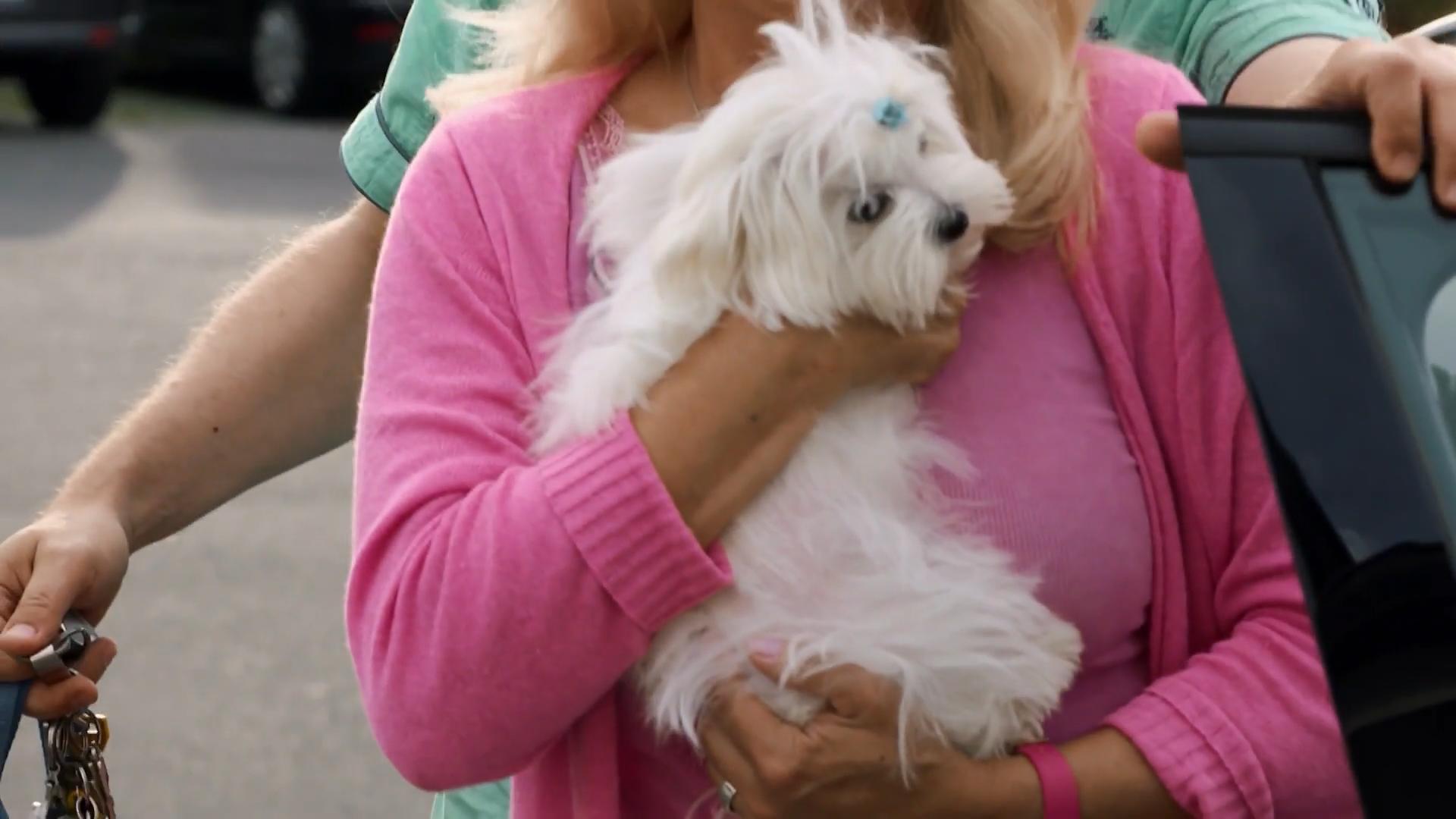 Ein Mann, zwei Hunde und eine Schlagersängerin