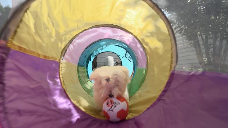 Spiel-Parcours im Garten