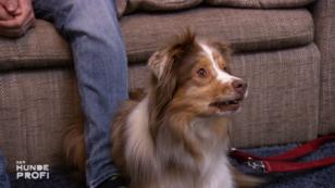 Milow ist nicht begeistert vom Kameramann