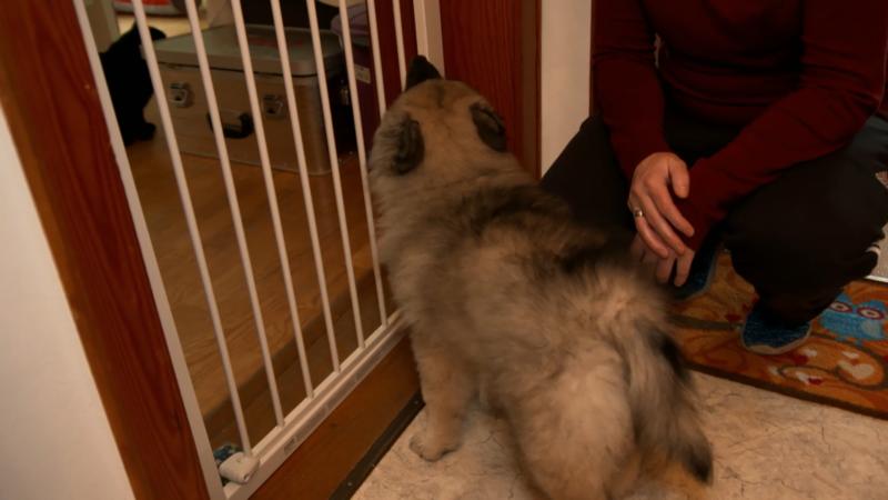 Welpe Matthi erkundet sein neues Reich