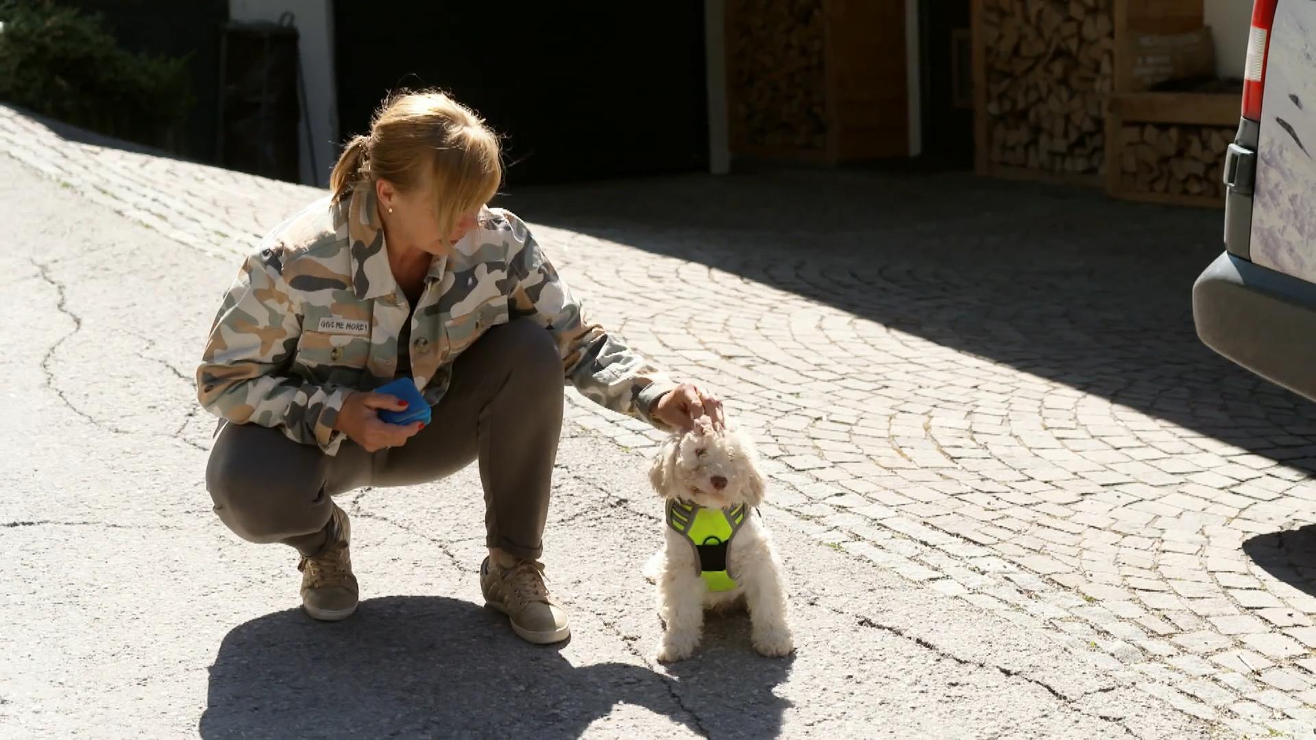 Falco soll mal Rettungshund werden
