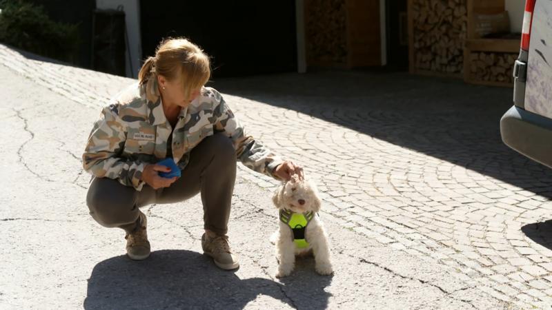 Falco soll mal Rettungshund werden