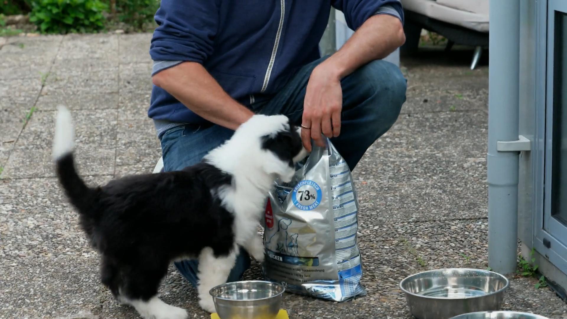 Das Wichtigste erkennt Nala schon