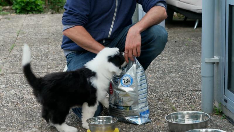 Das Wichtigste erkennt Nala schon