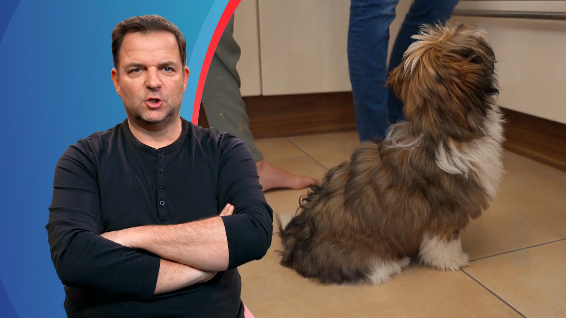 Fiete bekommt selbstgebackene Leckerchen