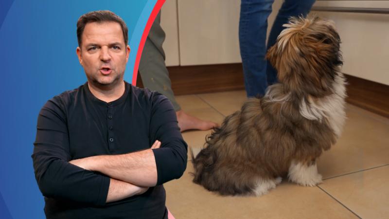 Fiete bekommt selbstgebackene Leckerchen