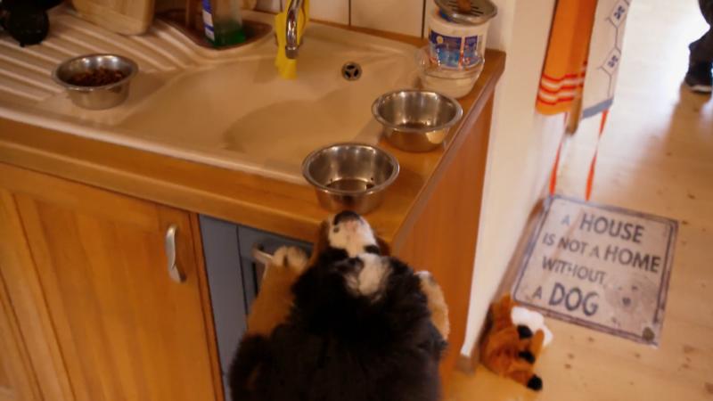 Kurt ist total aufgeweckt