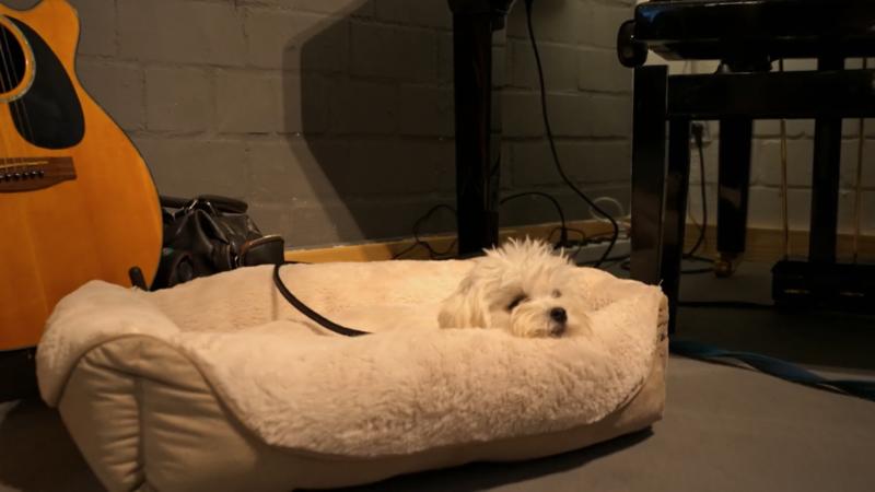 Viele erste Male für Ferdi