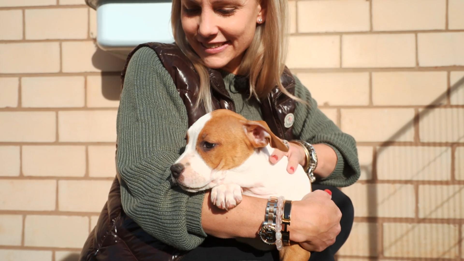 Irma kommt endlich nach Hause