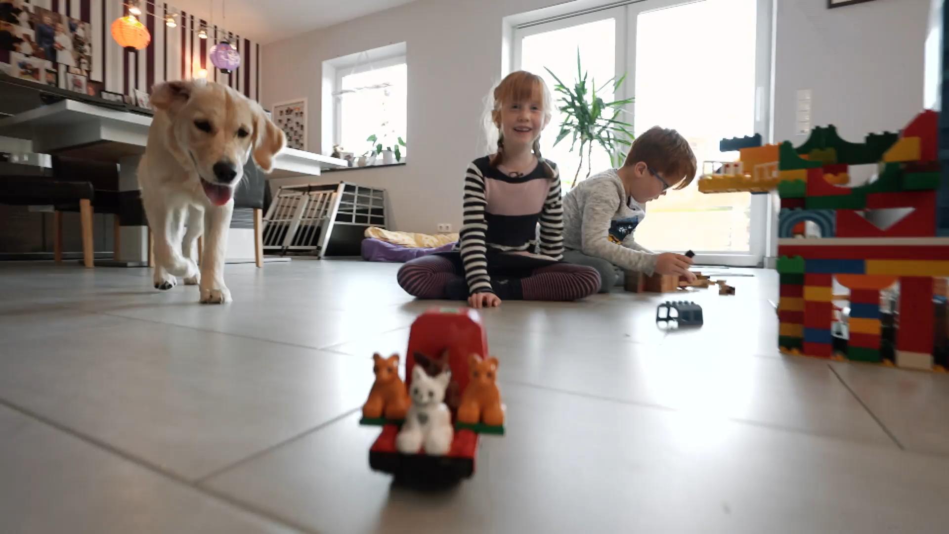 Golden Retriever Aileen ist super aktiv