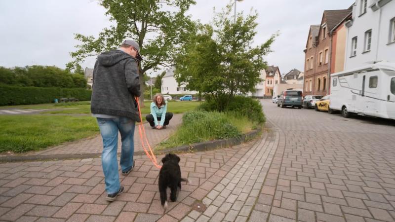 Hier herrschen die Liebe und der Sport