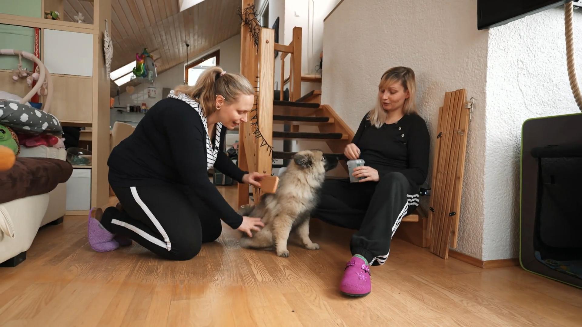 Vor der Bürste läuft Matti weg