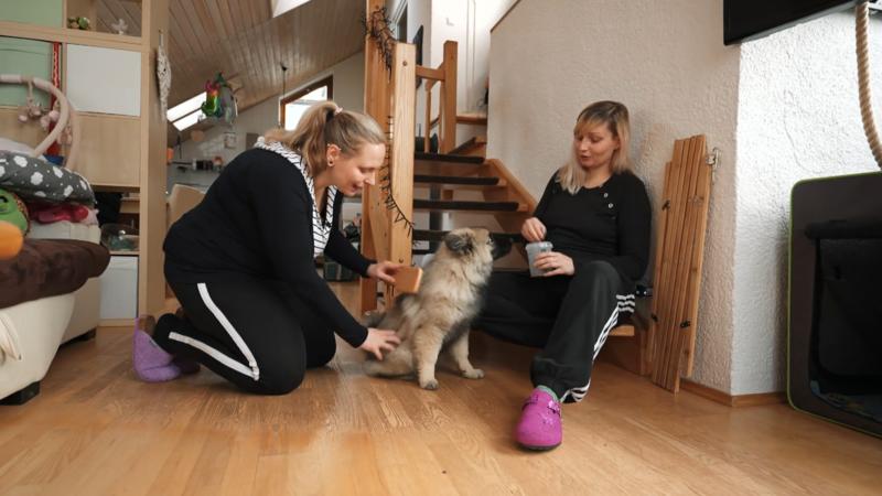 Vor der Bürste läuft Matti weg