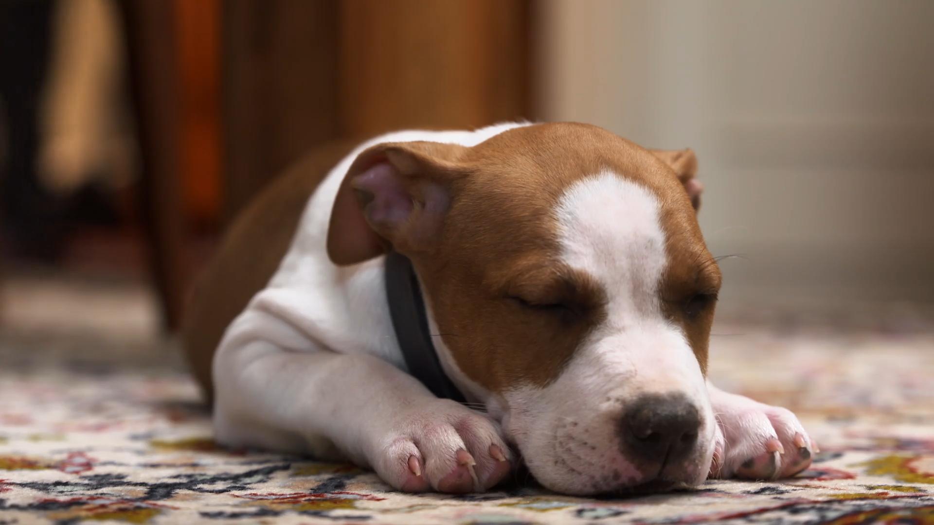 Irma hat ihre erste Nacht hinter sich