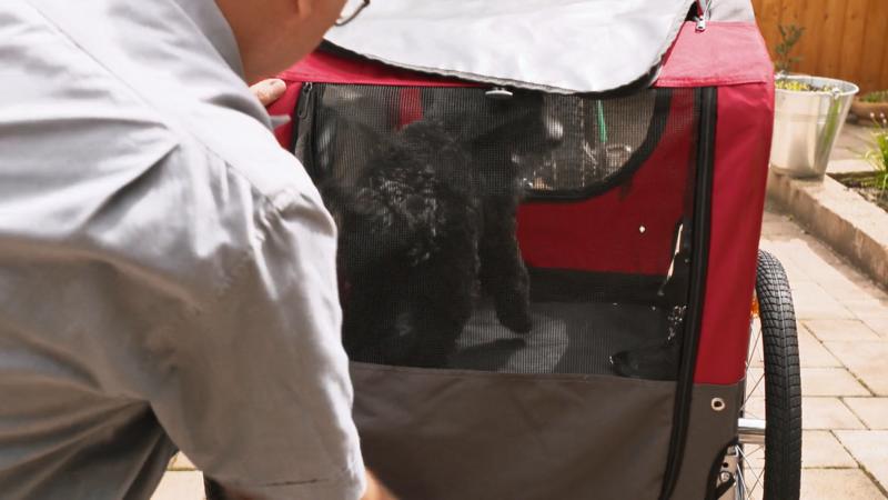 Ein Fahrradanhänger für Balu