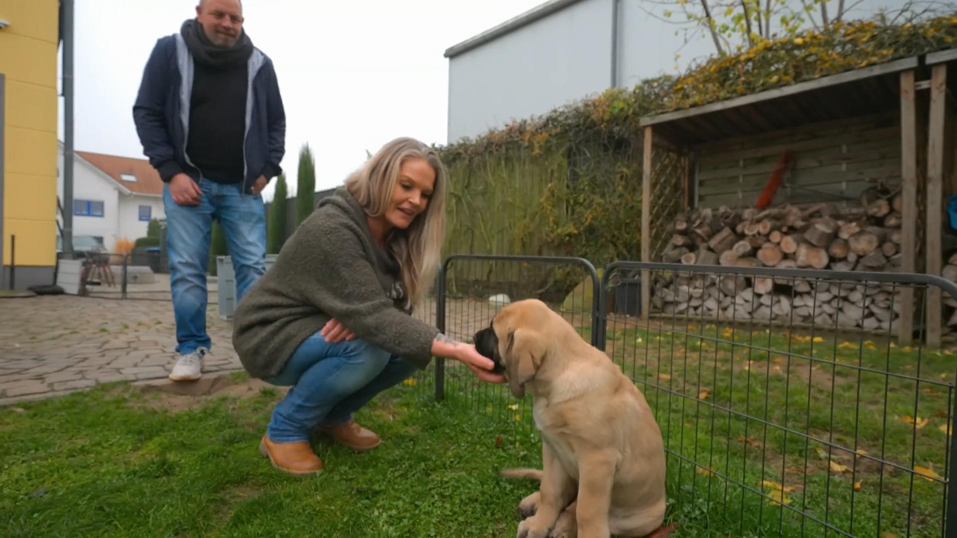 Ein großer Wachhund für ein großes Grundstück