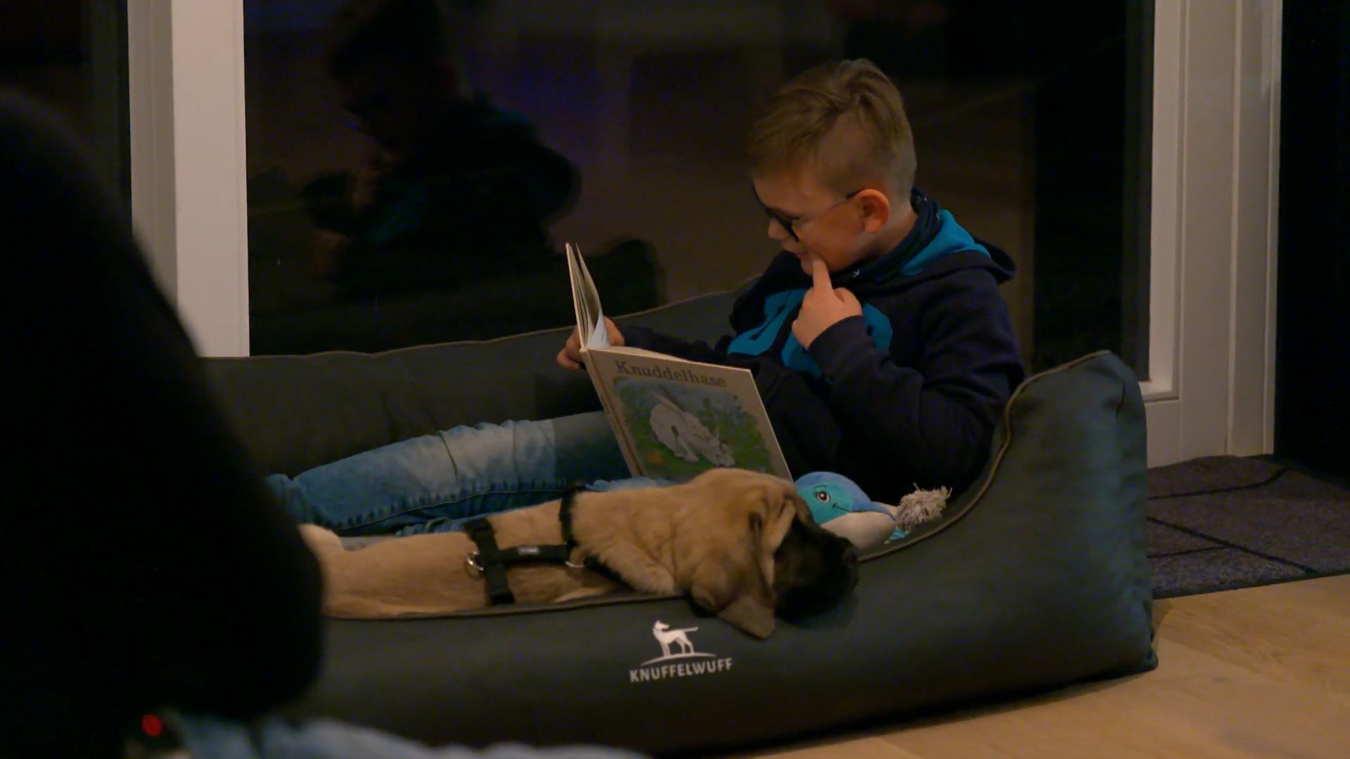 Eine Gute-Nacht-Geschichte für den Neuankömmling