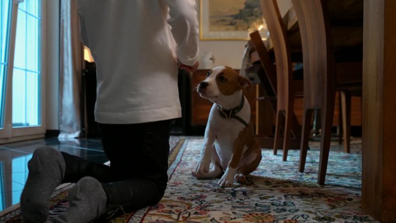 Erste Benimmregeln für Irma