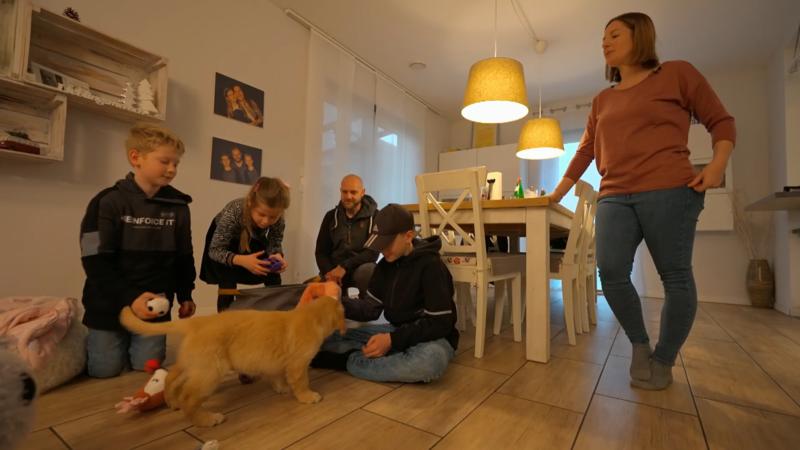 Die Kinder reißen sich um Welpe Hailey