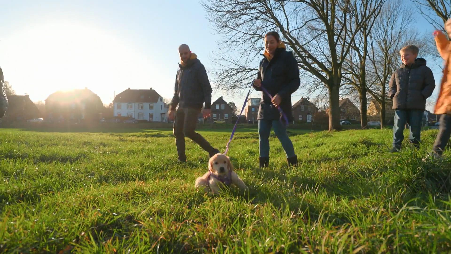 Der erste Familienspaziergang mit Hailey