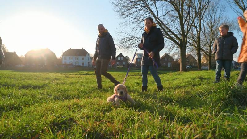 Der erste Familienspaziergang mit Hailey