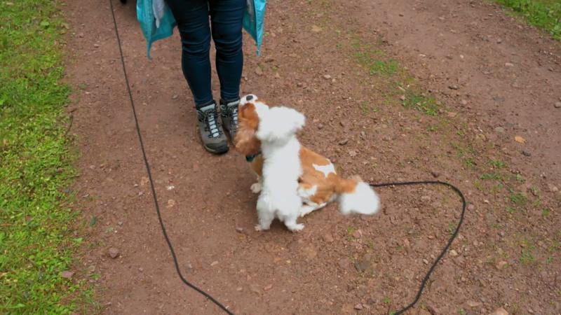 Ein Spaziergang an sauerstoffreicher Luft