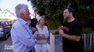 Werner und Erika müssen jetzt ignorieren lernen