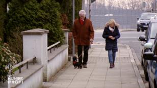 Ist hier endlich Ruhe beim Spazierengehen?